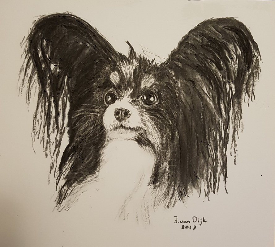 Elvis